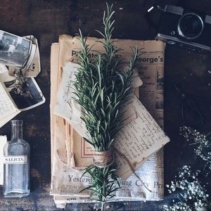 Meet your Posher, Georgia